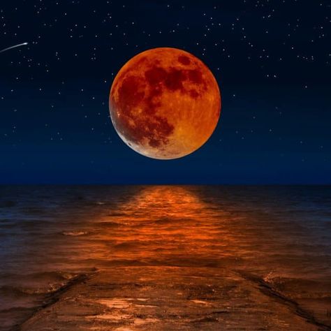 Make you Dreams Come True! Lunar Eclipse in Pisces! #eclipse #spirituality #ascension Lunar Eclipse, Dreams Come True, Dream Come True, Dreaming Of You, Spirituality, Make It Yourself