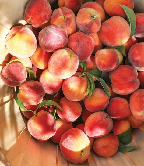 Grab Your Napkins for 5 New Recipes for Fresh Peaches — Country Living Fresh Peaches, Peaches Aesthetic, Peach Photography, Peach Farm, Peaches, Peach Farm Aesthetic, Peach Food Photography, Peach Fruit Aesthetic, Peach Asthetics Fruit