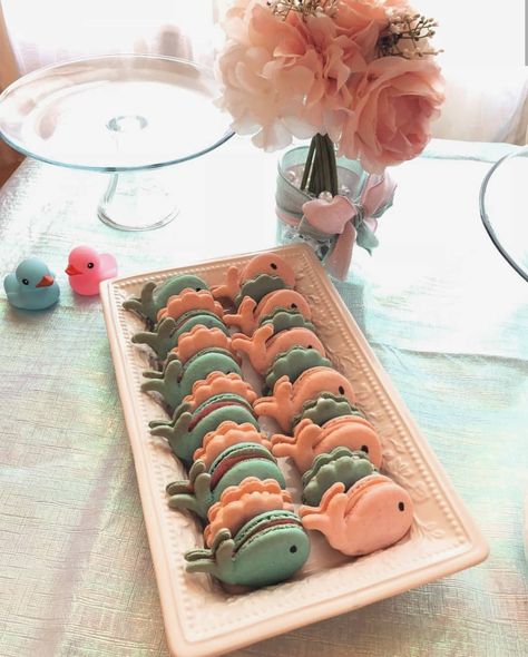 Cute whales and shells for a gender reveal baby shower. Whale Macarons, Ocean Themed Gender Reveal, Ocean Gender Reveal, Under The Sea Gender Reveal, Beach Gender Reveal, Gender Reveal Themes, Baby Grooming, Cute Whales, Craft Day