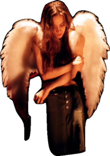 Fiona Apple, Angel Wings, Seattle, Angel, On Twitter, Twitter