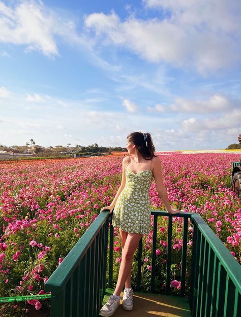 Spring, flowers, pretty, inspo pic, colorful Flower Park Outfit, Tulip Festival Photoshoot Outfit, Spring Dress Photoshoot Ideas, Carlsbad Flower Fields Photoshoot, Flower Field Poses, Tulip Festival Photoshoot, Spring Instagram Pictures, Flower Picking Outfit, Flower Field Outfit