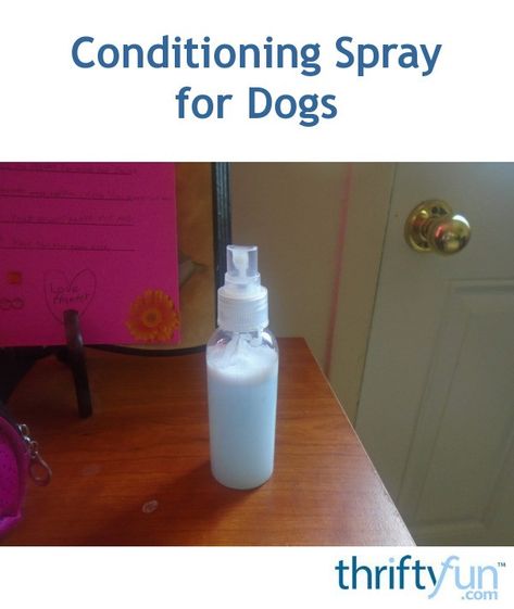 Homemade Conditioner, Diy Conditioner, Dog Spray, Poodle Hair, Spray Conditioner, Conditioner Recipe, Shitzu Puppies, Dog Conditioner, Healthy Dog Treats Homemade