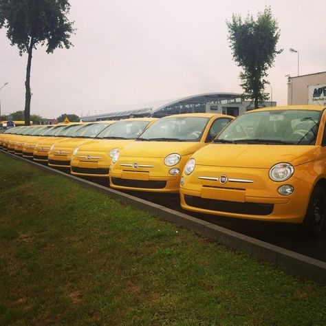 Color your day with some #yellow #Fiat500 New Fiat, Yellow Car, Porsche Panamera, Beautiful Dream, Italian Cars, G Wagon, Fiat 500, Italian Design, Make Me Smile