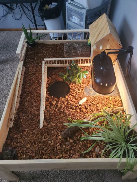 Tortoise Table Diy, Sulcata Tortoise Enclosure Indoor, Tortoise Enclosure Ideas, Tortoise Enclosure Indoor, Turtle Enclosure, Turtle Terrarium, Turtle Care, Tortoise House, Turtle Homes