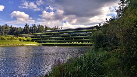 Modern Babylon: Deserted Weyerhaeuser Campus in Federal Way, Washington - Invisible Themepark Federal Way Washington, Hanging Gardens Of Babylon, Style Development, Enchanting Places, Gardens Of Babylon, Hanging Gardens, English Ivy, Florence Knoll, Urban Setting