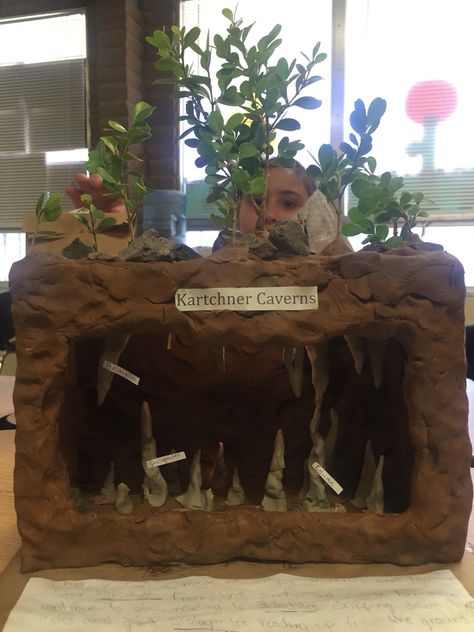 Bat Cave Projects For Kids, Bat Diorama Project, Cave Diorama, Bat Project, Kartchner Caverns, Diorama Kids, Diarama Ideas, Earth Projects, Bat Cave