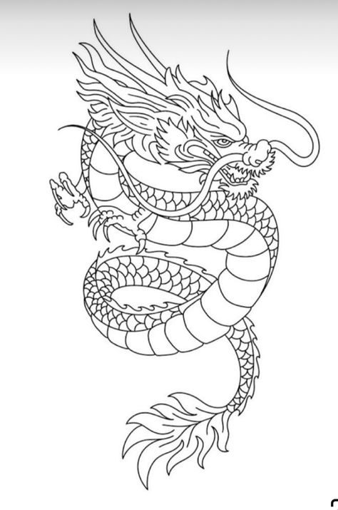 Japanese Dragon Drawing Sketches, Chinese Zodiac Dragon Tattoo, Chinese Dragon Outline, Asian Dragon Art, Dragon Line Drawing, Dragon Line Art, Dragon Tattoo Stencil, Chinese Dragon Drawing, Poster Infographic