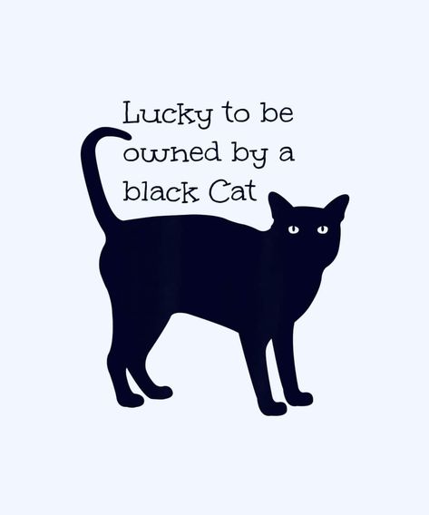 Cat Lover Quote, Black Cat Lover, Cat Hacks, Black Cat Art, Puppies And Kitties, Mama Cat, A Black Cat, Cat Posters, Cat Quotes