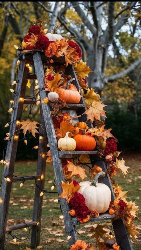 Fall Aesthetics, Outdoor Decor Ideas, Fall Backdrops, Adornos Halloween, Fall Thanksgiving Decor, Fall Deco, Sophisticated Look, Fall Outdoor Decor, Elegant Fall