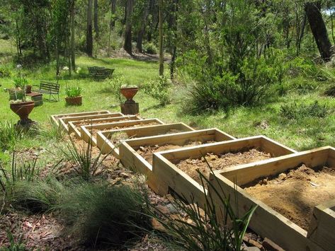 Landscape On A Hill, Steep Slope Landscaping, Sloped Backyard Ideas, Backyard Hill, Hillside Gardens, Outdoor Staircase, Steep Gardens, Landscape Stairs, Planters Outdoor