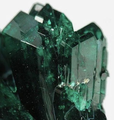 Emerald Green — Upspring Green Thing Green Crystals, Emerald, Crystals, Green