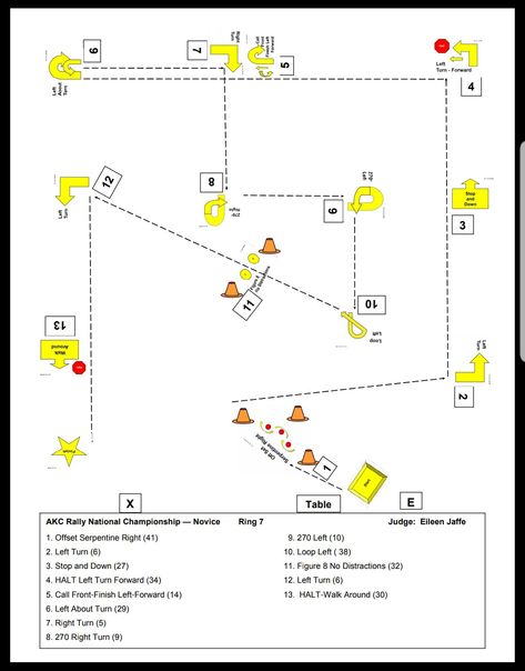 Dog Rally Courses, Dog Course, Rally Obedience, Dog Agility Course, Dog Tricks, Dog Sports, Dog Fun, Dog Games, Dog Hacks