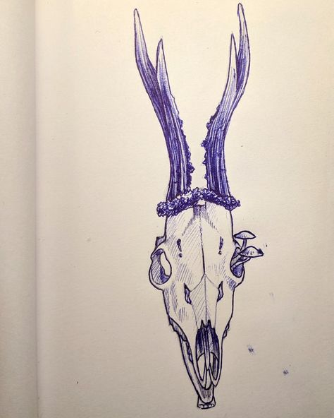 Deer Skull With Mushrooms, Deer Skull Drawing, Skull With Mushrooms, Roe Deer Skull, Roe Deer, Deer Skull, Deer Skulls, Skull Drawing, Pen Drawing