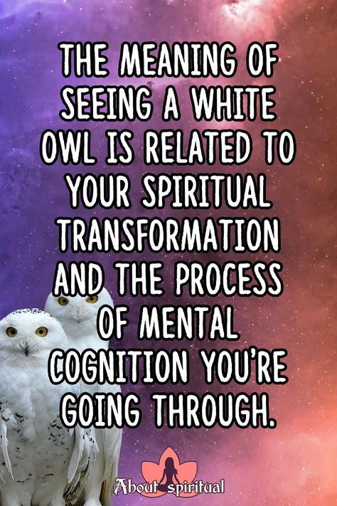 Meaning of seeing a white owl White Owl Meaning, White Owl Spiritual Meaning, Owl Meaning, Owl Symbolism, Feather Meaning, Owl Feather, Reiki Healer, Snow Owl, Animal Guides