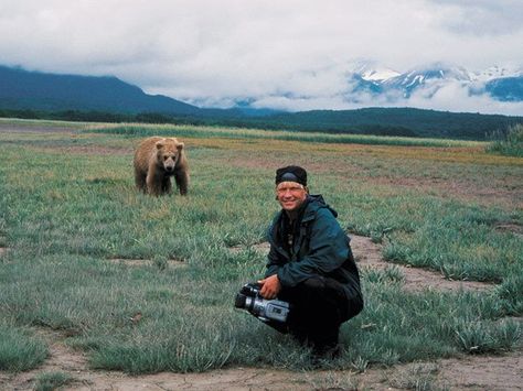 Embedded image Timothy Treadwell, Scary Documentaries, Grizzly Man, Werner Herzog, Viggo Mortensen, Documentary Movies, Movies Quotes, Netflix Documentaries, Best Documentaries