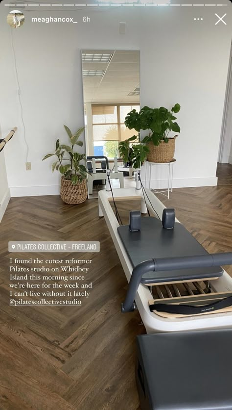 Private Pilates Studio, Dining Shelves, Mirror In Hallway, Pool In Backyard, Reformer Pilates Studio, Pilates Studio Design, Home Pilates Studio, Reformer Studio, Pilates Room