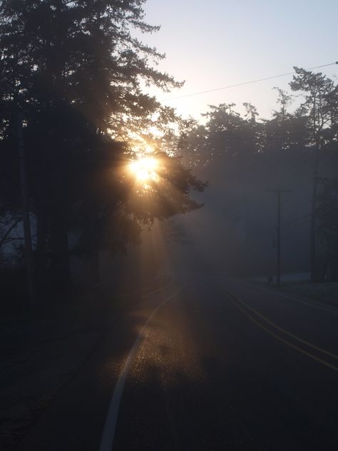 Fog At Dawn, Early Morning Aesthetic Dark, Surreal Scenery, Month Animals, Wallace Stevens, Hounds Of Love, Light Codes, Foto Inspo, Barbara Eden