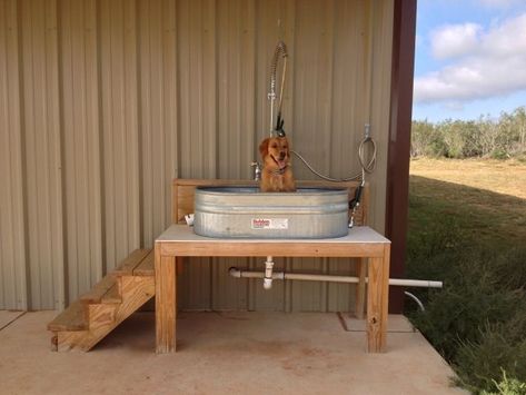 Outdoor Dog Bath Idea | Dog kennel outdoor, Dog bathing station, Diy dog kennel Dog Bathing Station, Dog Grooming Tools, Diy Dog Kennel, Dog Washing Station, Dog Grooming Salons, Dog Yard, Dog House Diy, Dog Kennel Outdoor, Dog Wash