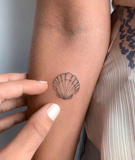 220+ Delicate Fine Line Tattoos Designs and Ideas (2022) - TattoosBoyGirl Scallop Tattoo, Tropisches Tattoo, Seashell Tattoo, Shell Tattoo, Seashell Tattoos, Tato Minimal, Shell Tattoos, Handpoke Tattoo, Inspiration Tattoos