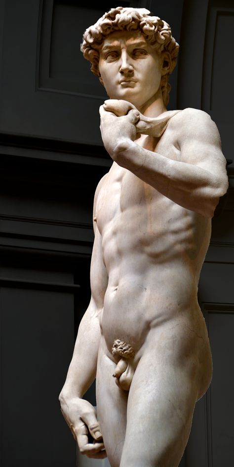 Michelangelo Tattoo, David By Michelangelo, Michelangelo Sculpture, Michelangelo David, David Michelangelo, Michelangelo Art, Art Deco Exterior, David Sculpture, David Statue