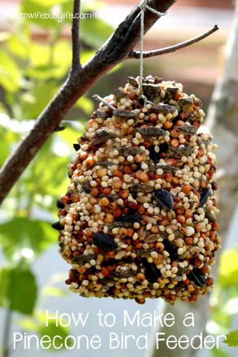 Perfect Fixer Upper Farmhouse Pinecone Crafts - The Cottage Market Bird Feeders For Kids To Make, Pinecone Turkey, Pine Cone Bird Feeder, Make A Bird Feeder, Bird Feeder Craft, Bird Houses Ideas Diy, Homemade Bird Feeders, What Is A Bird, Diy Bird Feeder