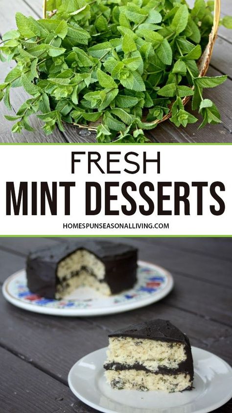 Spearmint Recipes, Mint Recipes Dessert, Mint Recipes Fresh, Homemade Dessert Recipes, Fresh Herb Recipes, Mint Desserts, Mint Chocolate Cake, Clothing Quotes, Mint Chocolate Chip Cookies