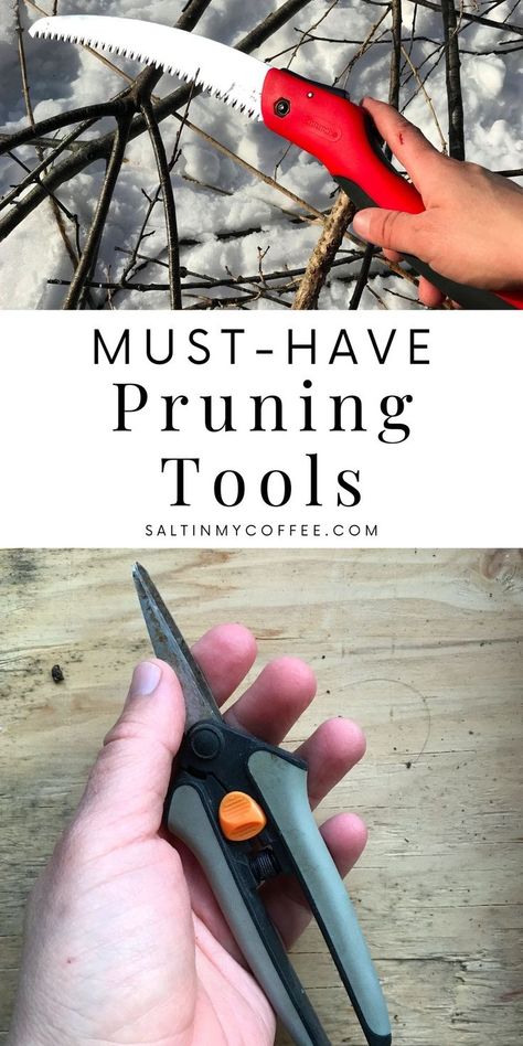 Having the right tools makes pruning trees and shrubs so much easier and more enjoyable. Using the right blade can also be better for the health of your trees. Here are my picks for must-have pruning tools. Pruning Trees, Pruning Tools, Coffee Blog, Tree Pruning, Parenting Inspiration, Natural Parenting, My Coffee, Natural Home, Trees And Shrubs