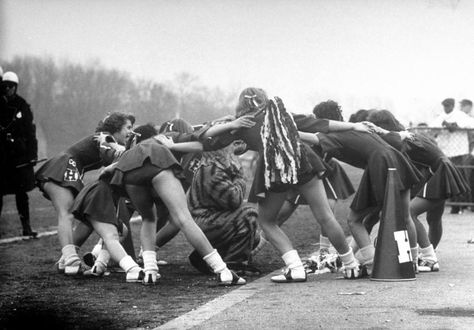 Hempstead High School cheerleaders chanting a cheer as they encircle the school's tiger mascot during game with Uniondale High, 1958. Old Yearbooks, Cheer Photography, Southern Baby Names, Tiger Mascot, Cheerleading Photos, Band Uniforms, Cheerleading Pictures, Gordon Parks, Cheerleading Uniforms