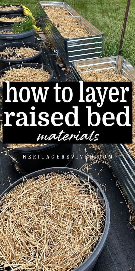 When creating new raised garden beds, you want to choose your materials wisely. Here's how to layer raised beds with cheap materials that are easy to source. Get your raised beds ready this fall to use in the Spring and get a head start! Cheap Raised Garden Beds, Simple Living Lifestyle, What To Use, Material Bed, Raised Bed, Rural Life, Hobby Farms, Garden Bed, Head Start