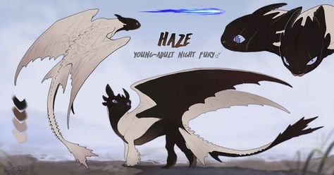 Nightfury Design, Httyd Names Ideas, Titan Wing Night Fury, Night Fury Anatomy, Httyd Dragons Oc Night Fury, Httyd Night Light Oc, Httyd Fury Oc, Nightfury Fanart, Night Fury Hybrid