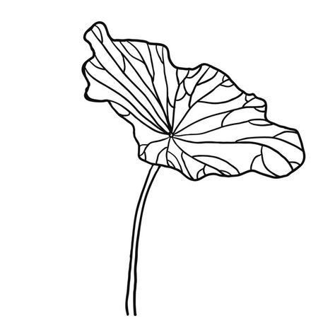 Lotus Leaf Art, Chinese Style Illustration, Drawing Plants, Leaf Decoration, Leaf Drawing, Lotus Leaves, Plant Drawing, Lotus Leaf, Bike Art