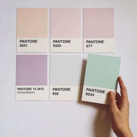 This soothing color palette has us dreaming of soft pastels. 📷 by @katebax #Pantone | por jackdavidson@btinternet.com Visuell Identitet, Pantone Colour Palettes, Pastel Colour Palette, Color Palette Design, Color Inspo, Colour Board, Soothing Colors, Wicker Furniture, Colour Schemes