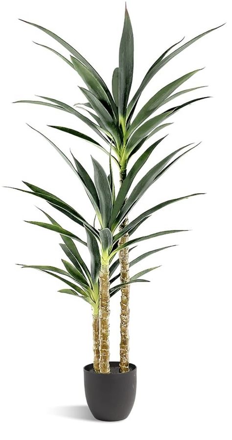 Yucca Tree, Fake Trees, Agave Plant, Outdoor Office, Plant Decor Indoor, Artificial Trees, Artificial Tree, Decorative Pots, Fake Plants