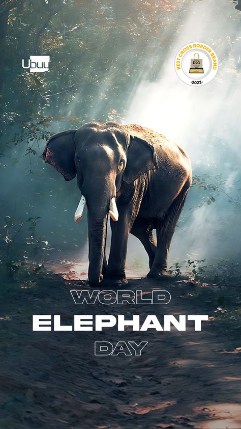 World Elephant Day World Elephant Day, General Ideas, Elephant Love, Gentle Giant, Take A, Elephant, In This Moment, Celebrities, Quick Saves