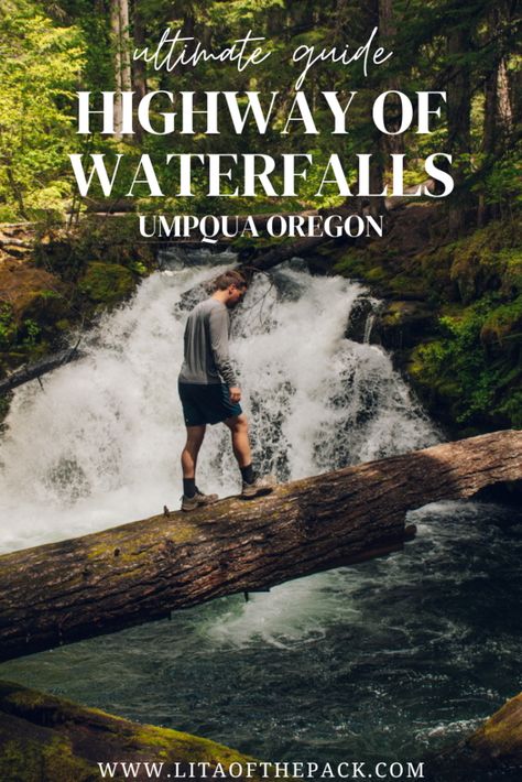 Visit the incredible "Highway of Waterfalls" in central Oregon. The Rogue-Umpqua Scenic Byway is home to a plethora of waterfalls that are just off the road. Get your complete guide to visiting these cascades including a map of the falls, tips on when to visit, and ideas on where to stay. You have to add this wonderful area to your next Oregon road trip or weekend getaway. Don't miss out on these spots like Toketee Falls and Umpqua Hot Springs. You will love it! Oregon Waterfalls Road Trip, Waterfalls In Oregon, Toketee Falls, Umpqua Hot Springs, Oregon State Parks, Oregon Waterfalls, Oregon Road Trip, Sea To Shining Sea, Central Oregon