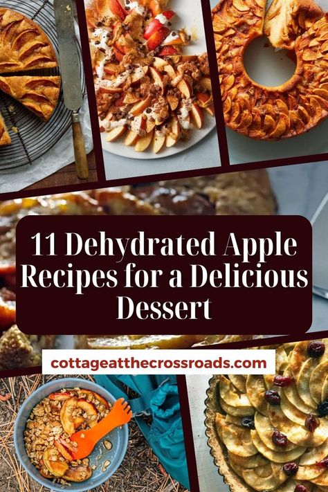 11 Dehydrated Apple Recipes for a Delicious Dessert pinterest image. How To Use Dried Apples, Recipes With Dehydrated Apples, Dried Apple Dessert Recipes, Dehydrator Apple Recipes, Dehydrated Dessert Recipes, Recipes Using Dehydrated Apples, Dehydrated Apple Recipes, Recipes With Dried Apples, Recipes Using Dried Apples