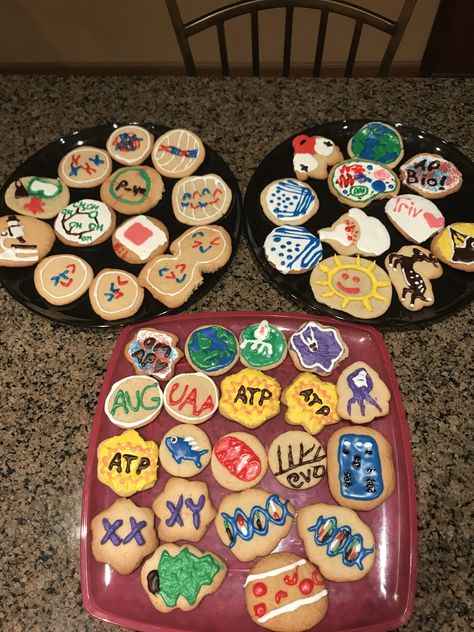 Biology Themed Cookies! Biology Themed Party, Biology Graduation Party, Biology Cake, Biology Theme Cake, Biology Cake Ideas, Biology Cookies, Biology Themed Baking, Microbiology Cookies, Science Cake