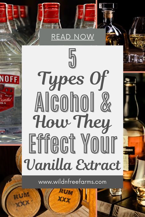 homemade vanilla extract Vanilla Flavoring Recipe, How To Make Your Own Vanilla, Make Extracts, Homemade Mexican Vanilla Extract, Whiskey Vanilla Extract, How To Make Your Own Vanilla Extract, Homemade Vanilla Extract With Bourbon, Make Your Own Extracts, Homemade Maple Extract