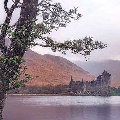 Sven Fennema Photography on Instagram: "Kilchurn Castle was another unique ruins from around 1450 in the amazing landscape around Loch Awe in the scottish Highlands. Amazing mood in the dusk and even more great to spend the night directly in the surrounding. . . . . #kilchurncastle #kilchurn #castle #ruins #castles_oftheworld #castlesofinstagram #castlephotography #castlesofscotland #scotlandhighlands #forgottenbeauty #vergessenepracht #vergesseneorte #scotland_greatshots #scottishhighlands #scotland_lover #scotlandexplore #scotlandtravel #wanderlust #lochawe" Procreate Landscape, Kilchurn Castle, Loch Awe, Scotland Highlands, Scottish Castles, Castle Ruins, Scotland Travel, Scottish Highlands, Hen