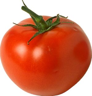 tomato_small Tomato Benefits, Health Benefits Of Tomatoes, Freezing Tomatoes, Vegetable Pictures, Sprouting Seeds, Beefsteak Tomato, Red Plants, Red Tomato, Freezer Cooking