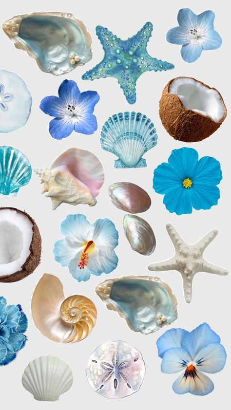 blue aesthetic beach wallpaper for iphone Blue Beach Wallpaper, Blue Aesthetic Beach, Aesthetic Beach Wallpaper, Cute Backrounds, Beach Scrapbook Layouts, Cute Summer Wallpapers, Scrapbook Printing, Flower Collage, Flower Icons