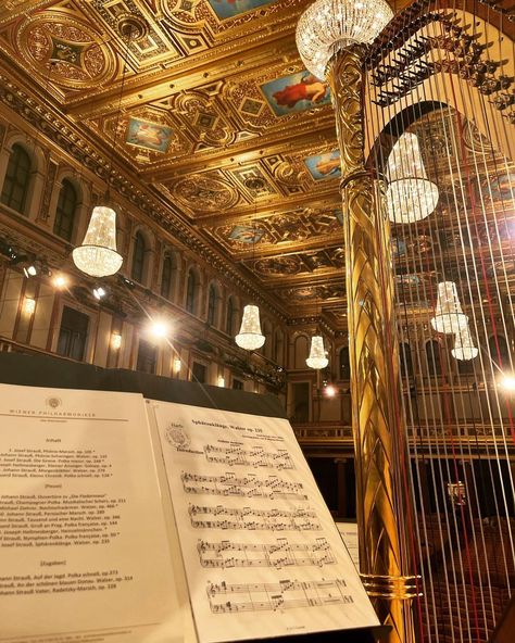 Anneleen Lenaerts on Instagram: “That time of the year again! ✨ New Year’s Concert preparations with the @viennaphilharmonic & @dbarenboim @musikverein.wien…” Golden Hall, Orchestra Music, A Night At The Opera, Music Collage, Concert Aesthetic, Music Student, Music Theater, Opera Singers, Music Aesthetic