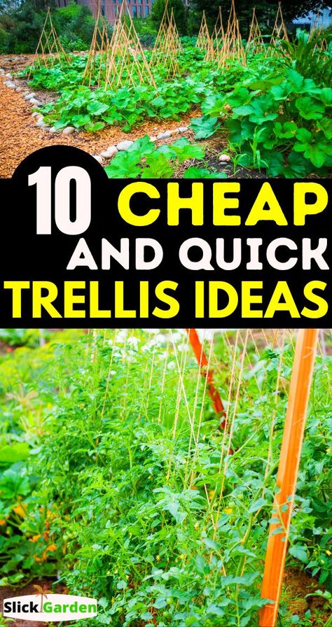 Cheap Garden Trellis, Cheap Trellis, Diy Garden Trellis Ideas, Homemade Trellis, Squash Trellis, Cucumber Trellis Diy, Bean Trellis, Teepee Trellis, Vertical Trellis