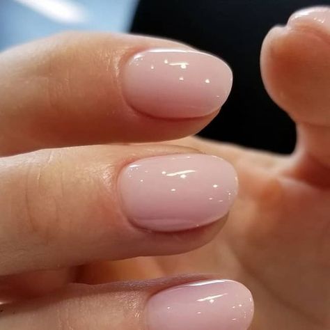 Dip Over Natural Nails, Classy Nails Dip Powder, Short Round Bubble Bath Nails, Igel Beauty Dip Powder Nails, Extra Short Gel X Nails Almond, Soft Pink Dip Powder Nails, Clear Dipped Nails, Bubble Bath Square Round Nails, Dipped Natural Nails