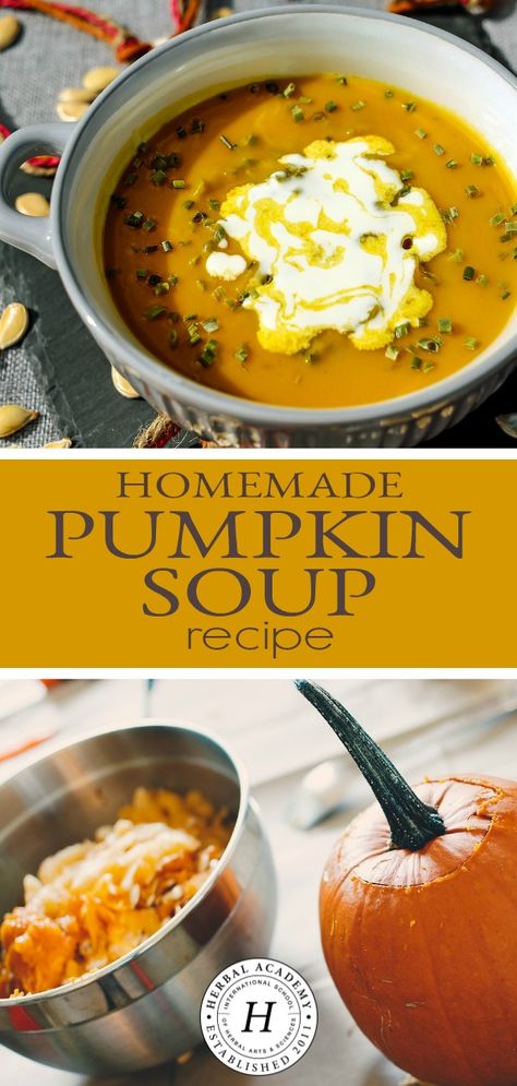 Pumpkin Recipes Side Dish, Roasted Pumpkin Soup Recipe, Pumpkin Soup Healthy, Roasted Pumpkin Soup, Pumpkin Recipes Dinner, Savory Pumpkin, Herbal Academy, Pumpkin Recipes Healthy, Savory Pumpkin Recipes