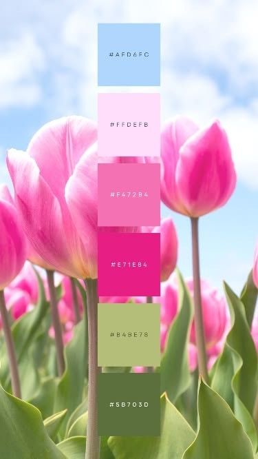 Joyful Colour Palette, Spring Colour Scheme, Color Palette Pink And Green, Colour Palettes Bright, Logo Color Palette Branding, Colour Palette Pink, 4 Color Combinations, Logo Color Palette, Tulip Colors