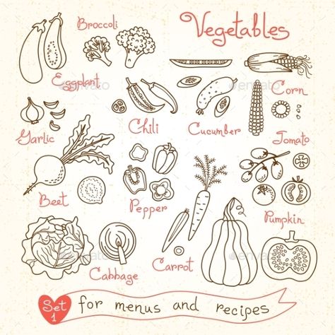 Set drawings of vegetables for design menus, recipes and packages product Drawings Of Vegetables, Vegetable Drawing, Mushroom Drawing, Garden Journal, Mushroom Design, Editorial Illustration, Food Illustrations, Free Vector Art, Vector Art