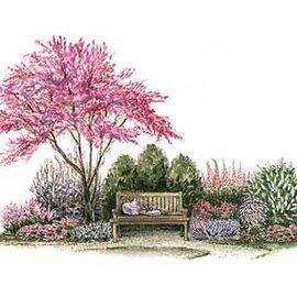 Garden Bench Plans, Trees For Front Yard, Backyard Layout, Landscaping Trees, Garden Nook, Backyard Garden Layout, Small Patio Garden, Corner Garden, Garden Wallpaper