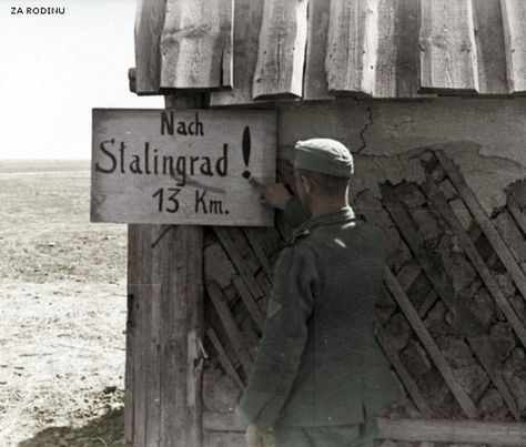 German soldier near  Stalingrad 1942 Eastern Front Ww2, Battle Of Stalingrad, German Soldier, Ww2 Soldiers, Germany Ww2, Wwii Photos, German Soldiers Ww2, German Army, Military History