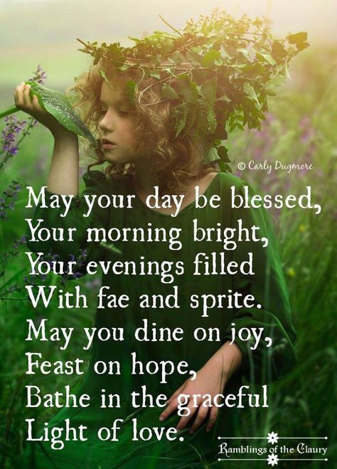 May your day be blessed, your morning bright, your evenings filled with fae and sprite. May your dine on joy, feast on hope, bathe in the graceful light of love. Fairy Quotes, Quote Images, Night Friends, Irish Quotes, Morning Blessings, Morning Affirmations, Morning Inspirational Quotes, Night Quotes, Morning Images